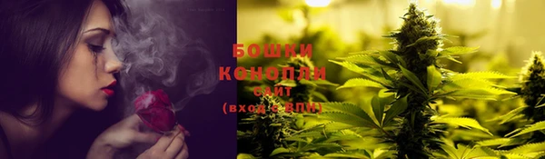 шишки Балахна