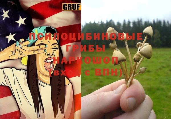 шишки Балахна