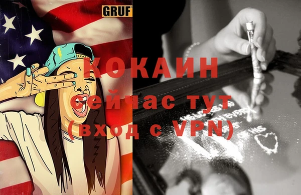 шишки Балахна
