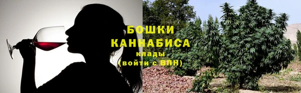 гашик Арсеньев